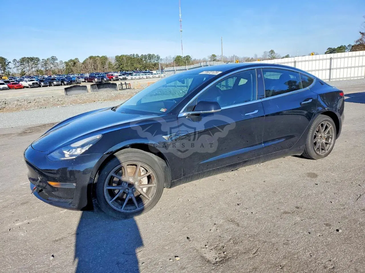 Tesla Model 3 2019