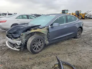 Tesla Model 3 2019
