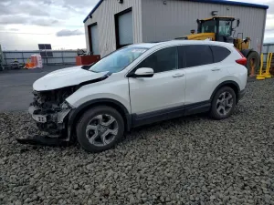 Honda CR-V EXL 1.5L 4 2019