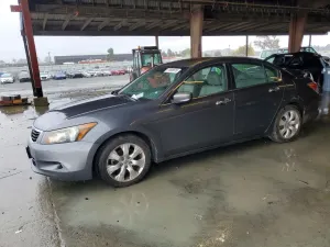 Honda Accord EXL 3.5L 6 2010