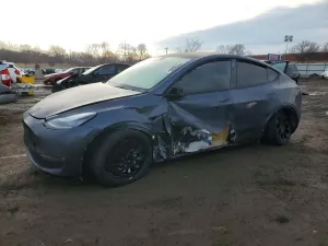 Tesla Model Y 2021