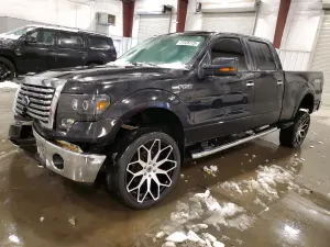 Ford F-150 SUPERCREW 5.4L 8 2010