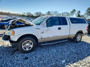 Ford F-150 4.6L 8 2006