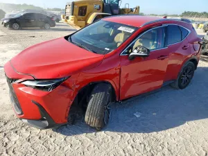 Lexus NX 2.5L 4 2024