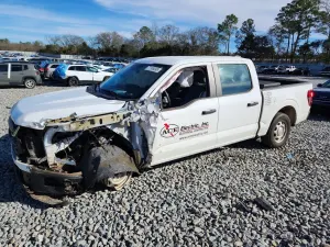 Ford F-150 XL 5.0L 8 2024