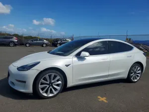 Tesla Model 3 2019