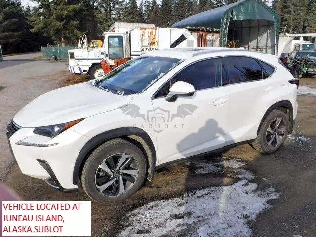 Lexus NX 300 BASE 2.0L 4 2018
