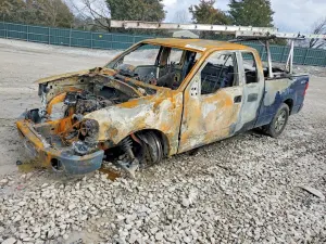 Ford F-150 4.6L 8 2008