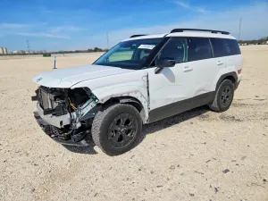 Hyundai Santa Fe XRT 2.5L 4 2024