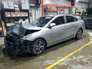 Kia Cerato / Forte / K3 2.0L 4 2022