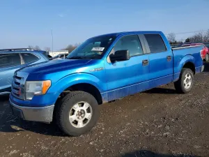 Ford F-150 SUPERCREW 4.6L 8 2010