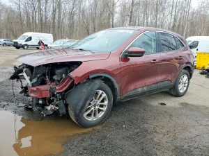 Ford Escape 1.5L 3 2021
