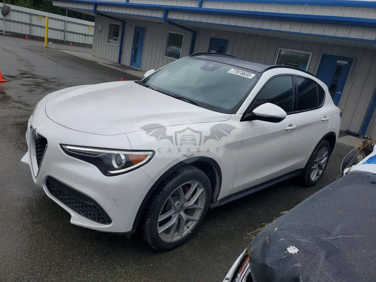 Alfa Romeo Stelvio 2.0L 4 2019