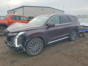 Hyundai Palisade CALLIGRAPHY 3.8L 6 2024
