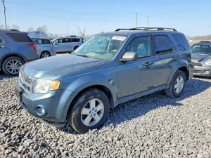 Ford Escape XLT 2.5L 4 2010