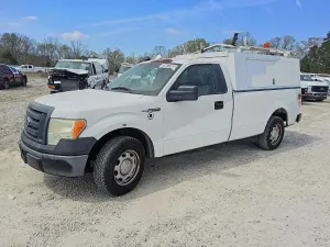 Ford F-150 4.6L 8 2010