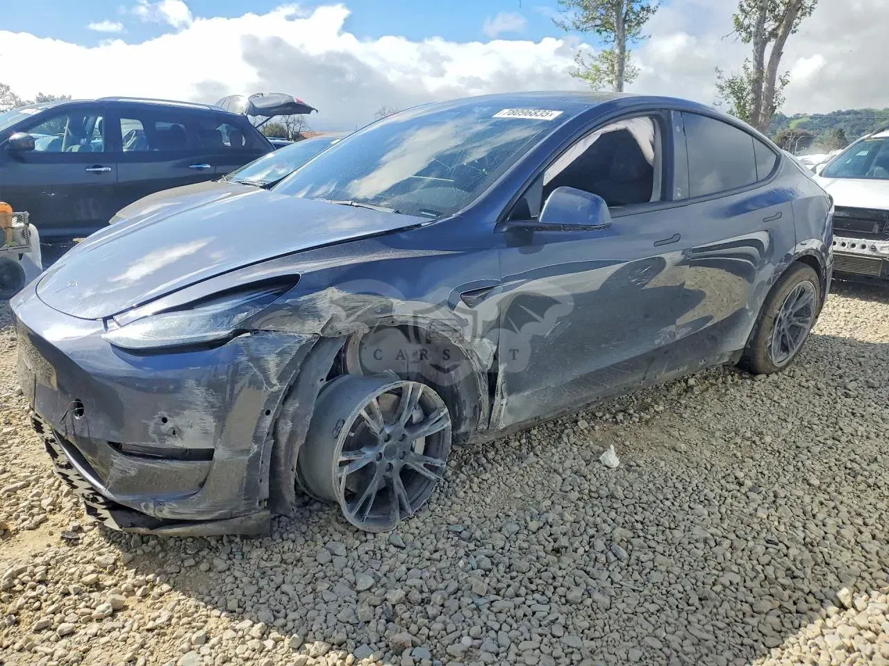Tesla Model Y 2021