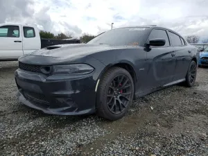 Dodge Charger 5.7L 8 2019