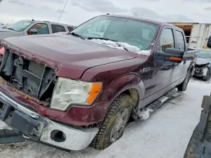 Ford F-150 4.6L 8 2010