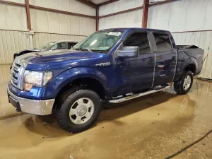 Ford F-150 4.6L 8 2010