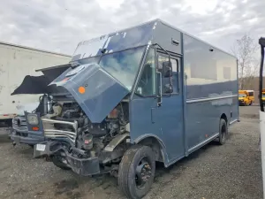 Ford F59 7.3L 8 2020