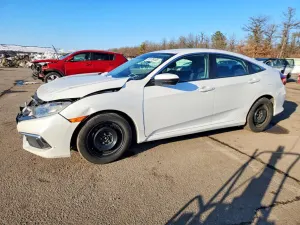 Honda Civic 2.0L 4 2019