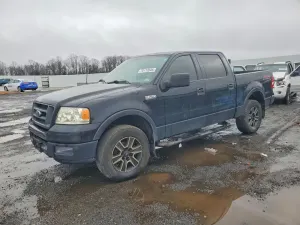 Ford F-150 5.4L 8 2004