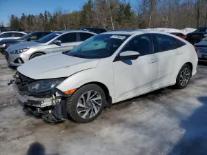 Honda Civic 2.0L 4 2019