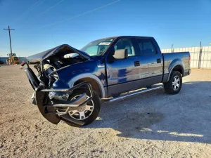 Ford F-150 SUPERCREW 5.4L 8 2006