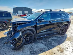 Hyundai Santa Fe 2.5L 4 2022