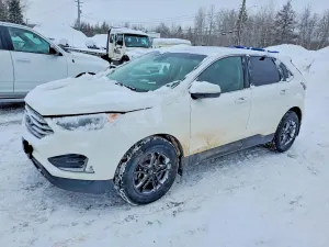 Ford Edge 2.0L 4 2020