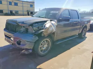 Ford F-150 4.6L 8 2007