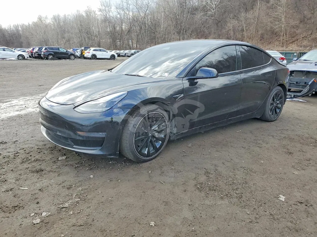 Tesla Model 3 2022