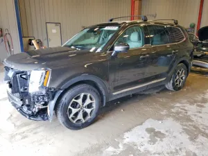 Kia Telluride 3.8L 6 2020