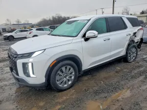 Hyundai Palisade 3.8L 6 2025