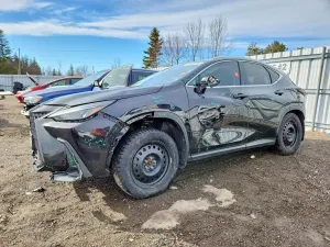 Lexus NX 2.5L 4 2022