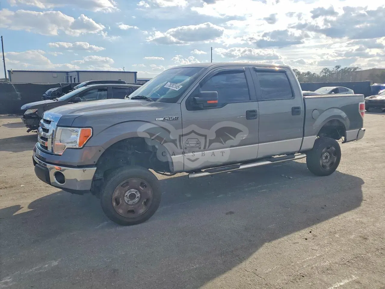Ford F-150 4.6L 8 2010