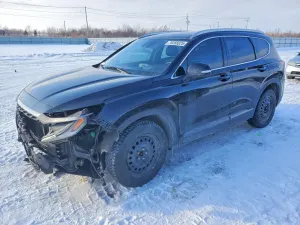 Hyundai Santa Fe 2.0L 4 2019