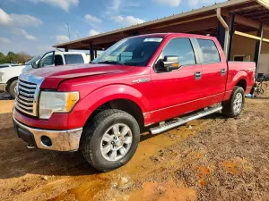 Ford F-150 SUPERCREW 5.4L 8 2010