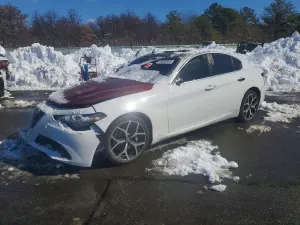 Alfa Romeo Giulia 2.0L 4 2019