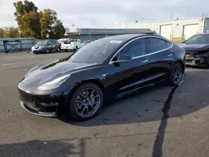 Tesla Model 3 2019