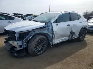 Lexus NX 2.4L 4 2025