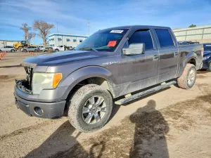 Ford F-150 5.0L 8 2014