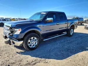 Ford F-150 5.0L 8 2014