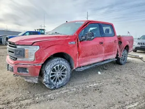 Ford F-150 5.0L 8 2020