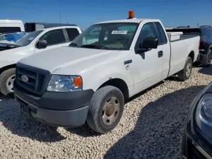 Ford F-150 4.6L 8 2007