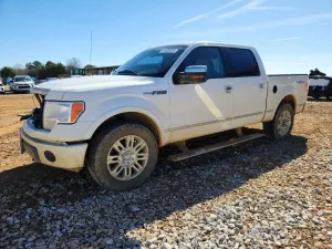 Ford F-150 5.4L 8 2010