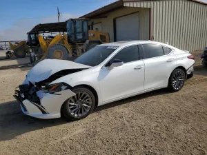 Lexus ES 2.5L 4 2024