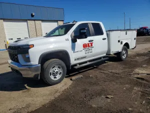 Chevrolet Silverado 1500 6.6L 8 2020