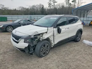Kia Seltos 2.0L 4 2021